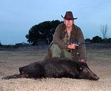 Recreational wild boar hunting Feral Hog hunting.jpg