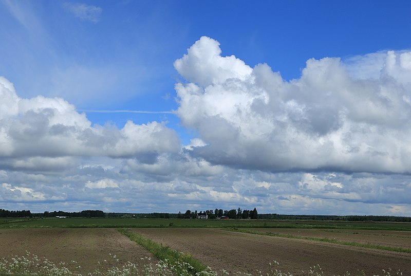 File:Fields Tyrnävä 20170627 03.jpg