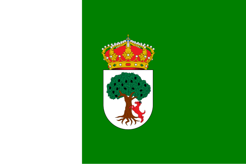 File:Flag of Aceuchal.svg