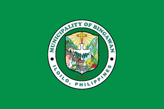 <span class="mw-page-title-main">Bingawan</span> Municipality in Iloilo, Philippines