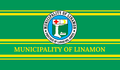 Flag of Linamon, Lanao del Norte.png