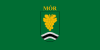 Bendera bagi Mór