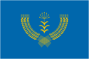 Flag of Tuymazinsky District