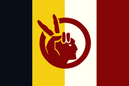 Flag of the American Indian Movement V2.svg