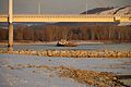 * Nomination Cargo ship passing the bridge over Danube at Hainburg, Lower Austria --P e z i 22:18, 13 March 2014 (UTC) * Promotion Nice mood and good quality. --JLPC 09:12, 14 March 2014 (UTC)