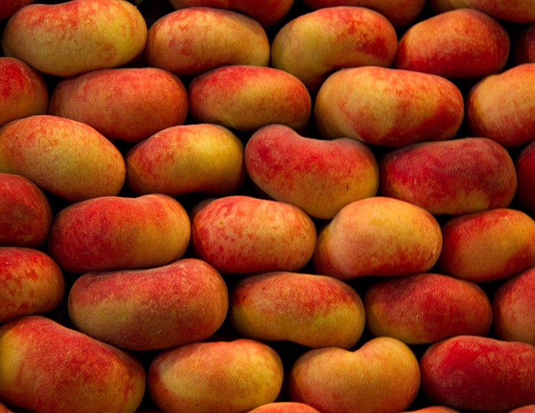 File:Fruit Wall (5836490753).jpg