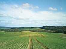 Brohmer Berge