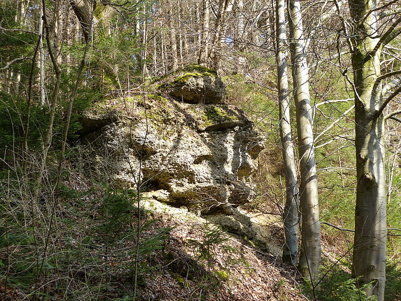 File:Geotop Nagelfluh-Aufschluss W von Bad Grönenbach 17.JPG