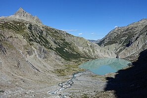 Glacier foreland Triftsee 01.jpg