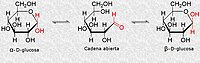 Formas anoméricas de la glucosa