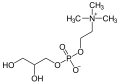 Deutsch: Struktur von Glycerin-3-phosphocholin English: Structure of glycerol-3-phosphocholine