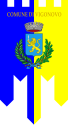 Vigonovo - Drapeau