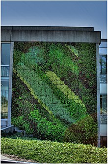 Green wall the Simon Fraser University, Burnaby, British Columbia, Canada. Green-Wall-Blusson-Hall-SFU-Burnaby-British-Columbia-Canada-01-A.jpg