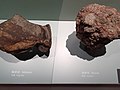 HK TST East 香港科學館 Hong Kong Science Museum HKSM the Shaw rock stone samples January 2021 SS2 11.jpg