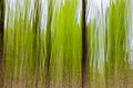 * Nomination Forest in the Hohe Mark Nature Park in Haltern am See, North Rhine-Westphalia, Germany The photo in wiping technique was taken by moving the camera vertically. I am aware that many QI rules are not followed in the image. However, it is an example of the use of the wiping technique, so a creative approach to photography. --XRay 03:40, 29 April 2022 (UTC) * Promotion  Support Good quality and btw. a great artwork! -- Johann Jaritz 04:11, 29 April 2022 (UTC)