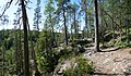 Helvetinjärvi National Park - trail.jpg