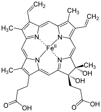 Structure of Heme D. Heme d.svg