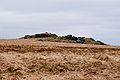 * Nomination Higher White Tor on Dartmoor in Devon, UK in winter. --Herbythyme 09:20, 17 February 2010 (UTC) * Promotion Also very good. --Cayambe 21:32, 17 February 2010 (UTC)