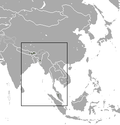 Gama cârtiței himalayene
