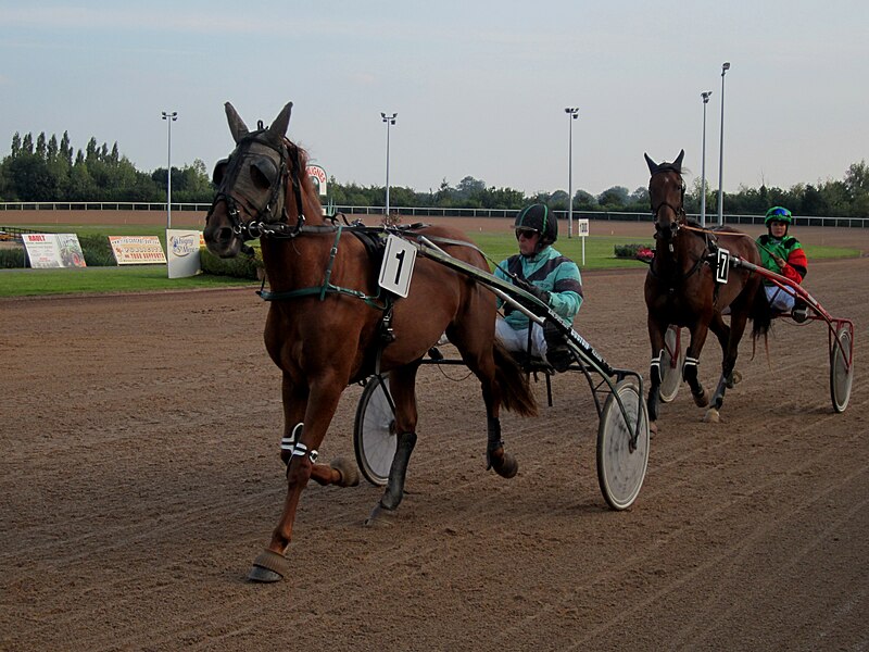 File:Hippodrome de Graignes 11.JPG