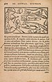 Historiae de gentibus septentrionalibus (15633111011).jpg