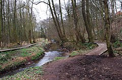 Hoo Brook, Rezervat prirode Spennells Valley, Spennells, Kidderminster (zemljopis 3379825) .jpg