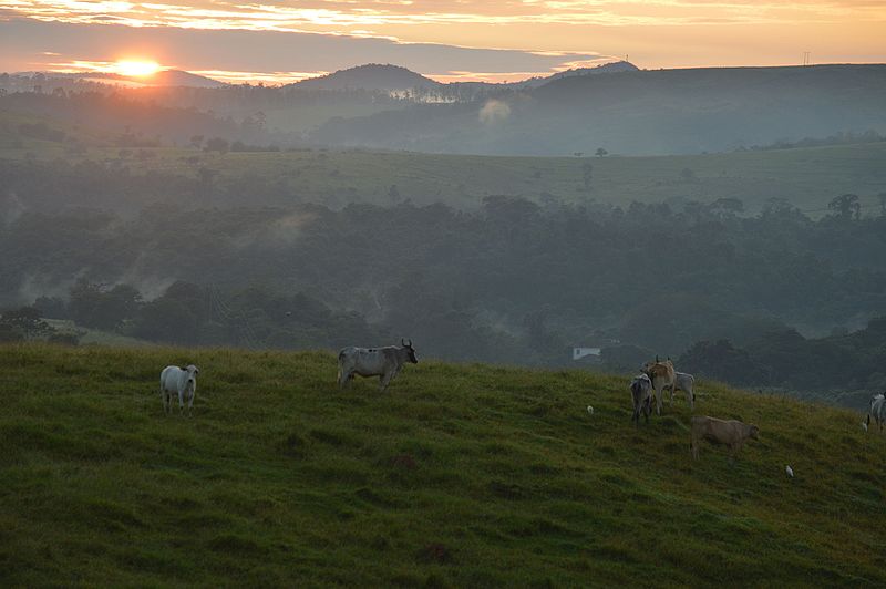 File:Horizonte Rural.jpg