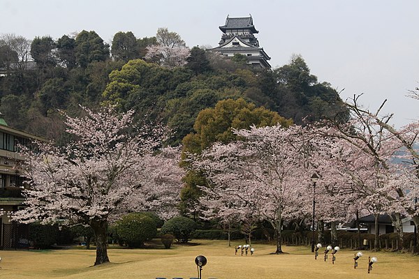 Inuyama Castle Keep Tower and Cherry Tree in Inuyama, Aichi prefecture, Japan.