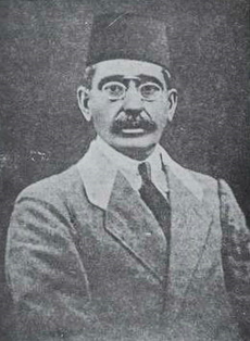 Iraj Mirza.png