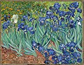 Irises, 1882