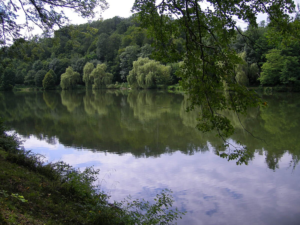 Приток куры 5 букв на а. Кур (приток Тускари).