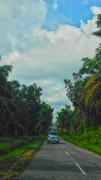 File:Jalan Lintas NESS, Muaro Jambi, JA (11).jpg