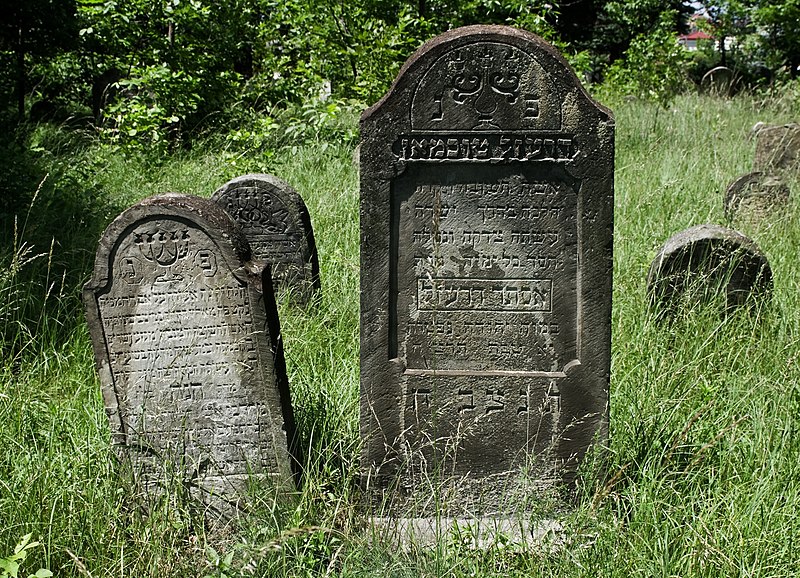 File:Jewish cemetery Sokolow Malopolski IMGP4644.jpg