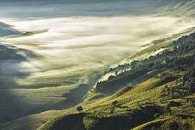 Kabut di Jemplang