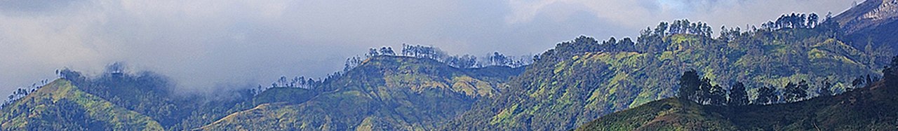 Kawasn Kawah Ijen (cropped).jpg