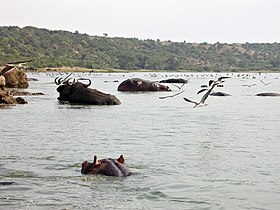 Çizim