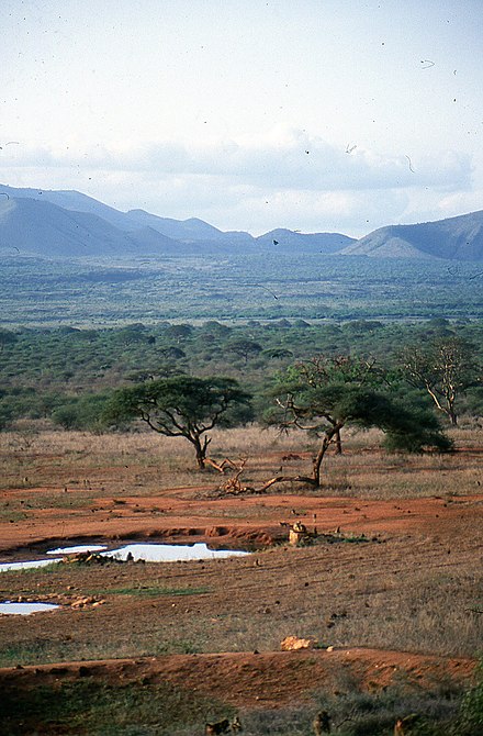 Tsavo West landscape