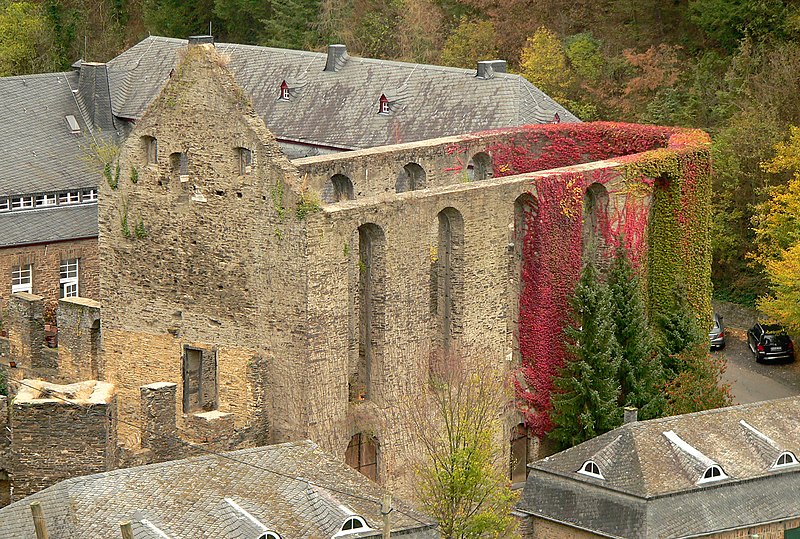 File:Kloster Marienthal Klosterkirche von oben rechts.jpg