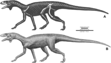 Kwanasaurus skelet and life restoration.png