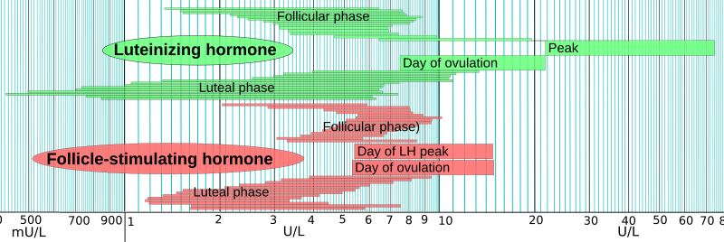 File:LH and FSH in menstrual cycle.svg