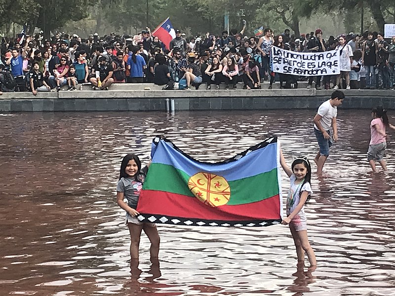 Файл:La bandera Mapuche estuvo presente en la marcha histórica.jpg