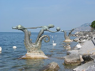 Hippocampus of Vevey