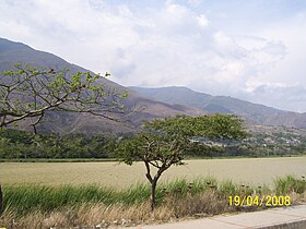 Lagunillas (Mérida)