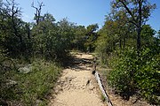 Penitentiary Hollow trail