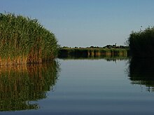 Lago Velencei.jpg