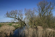 Lakenheath Baru Lode - geograph.org.inggris - 368952.jpg