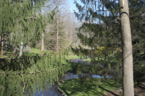 Jardín de Leonard J. Buck