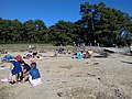 Les Sept Îles (Morbihan) : plage 2.