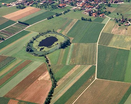 Lobsigensee cropped