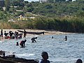 Thumbnail for Lake Bangweulu